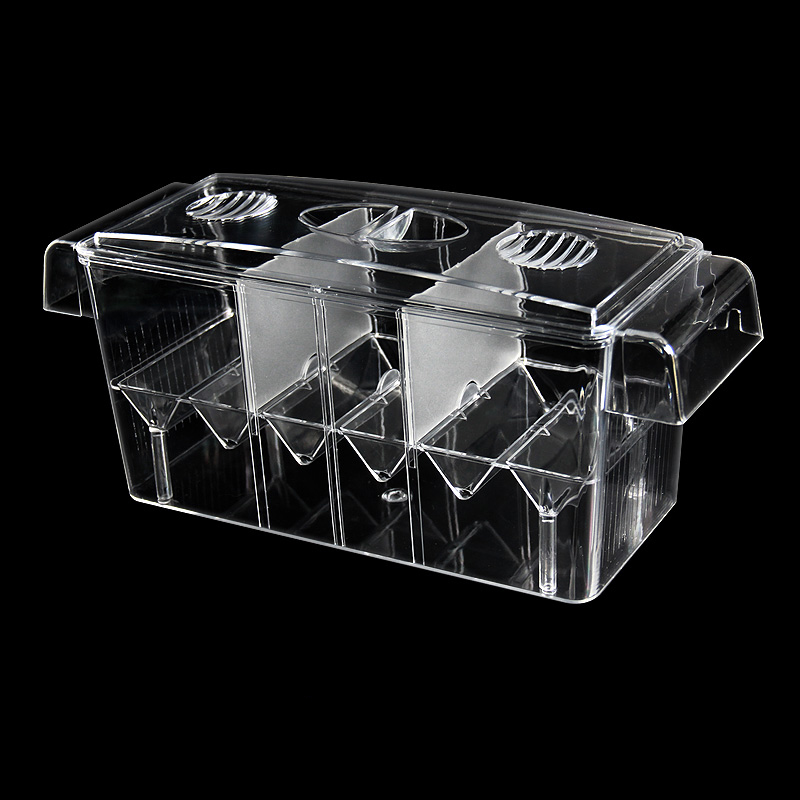 Clear Aquarium Fish Tank Isola - Betta Fish Tank 评论和价格