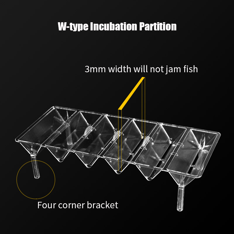 Clear Aquarium Fish Tank Isola - Betta Fish Tank 评论和价格