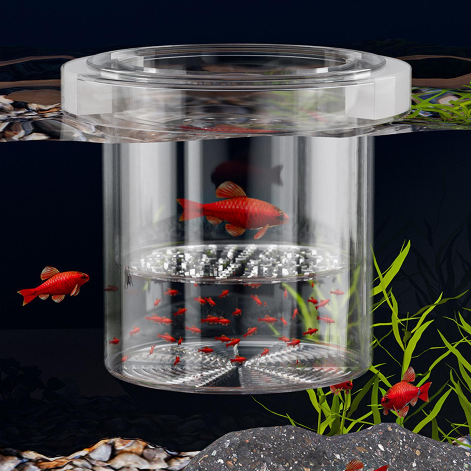 Durable Fish Breeder Box Fish  - Betta Fish Tank 评论和价格