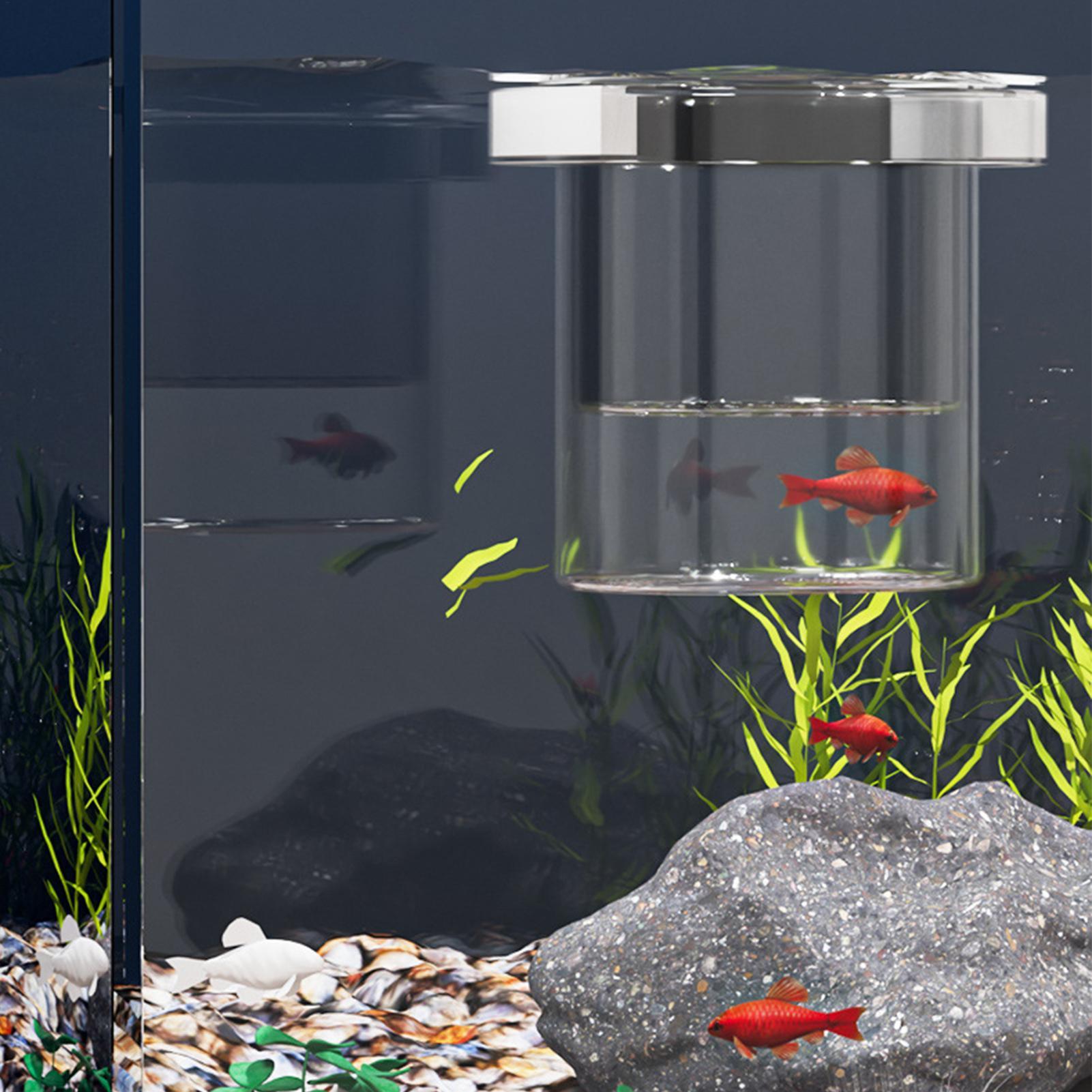 Durable Fish Breeder Box Fish  - Betta Fish Tank 评论和价格