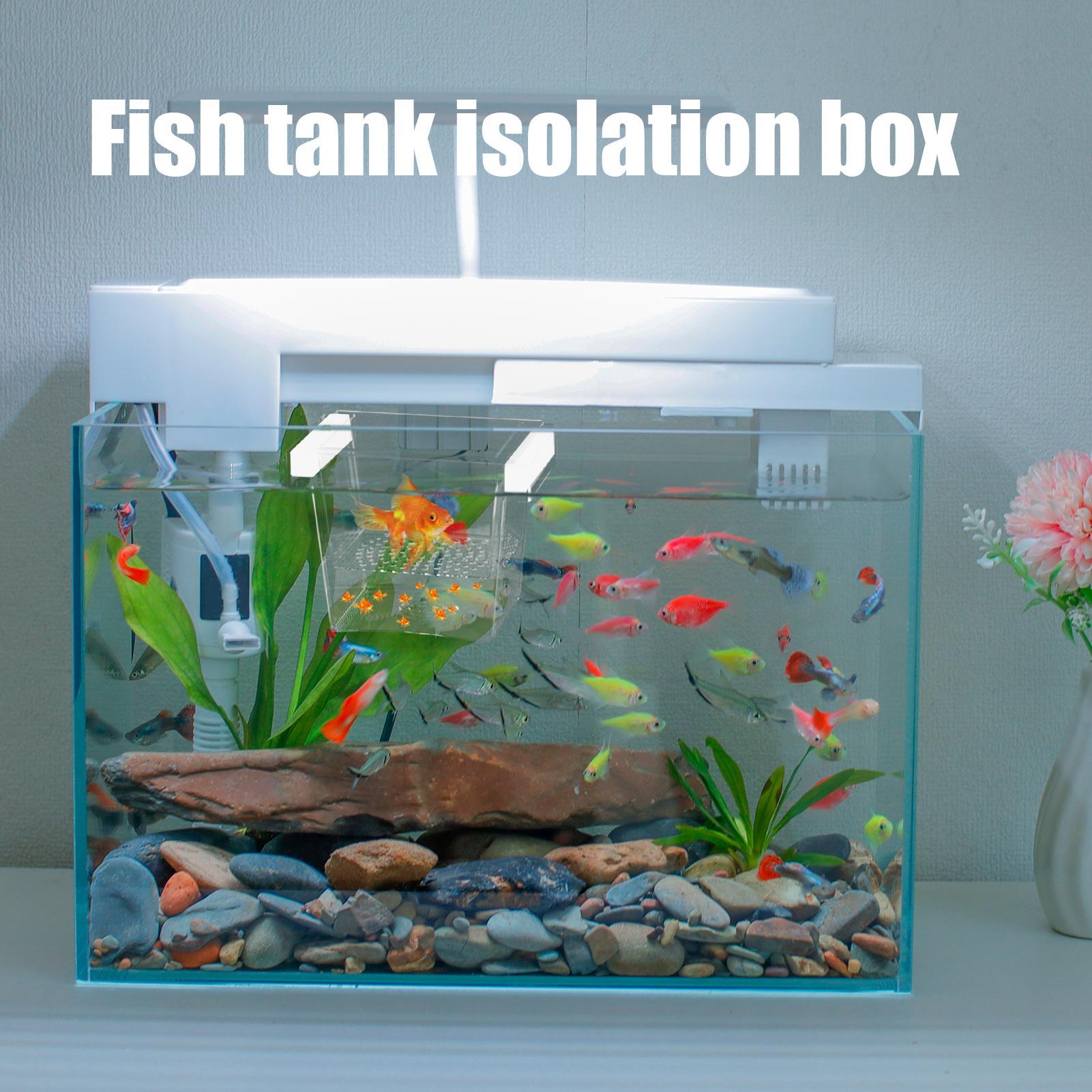 Durable Fish Breeder Box Fish  - Betta Fish Tank 评论和价格