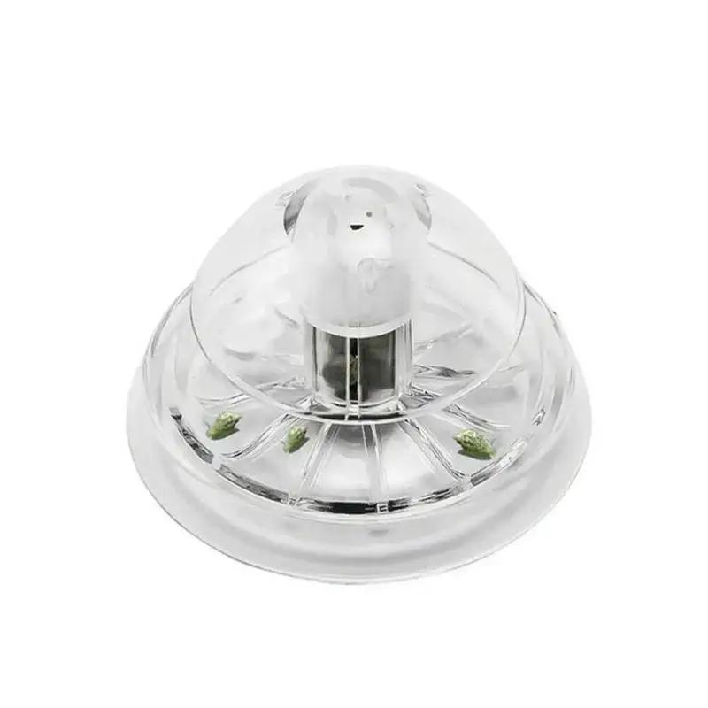 2026 New 6/8CM Clear Plastic S - Fish Aquarium Home 评论和价格