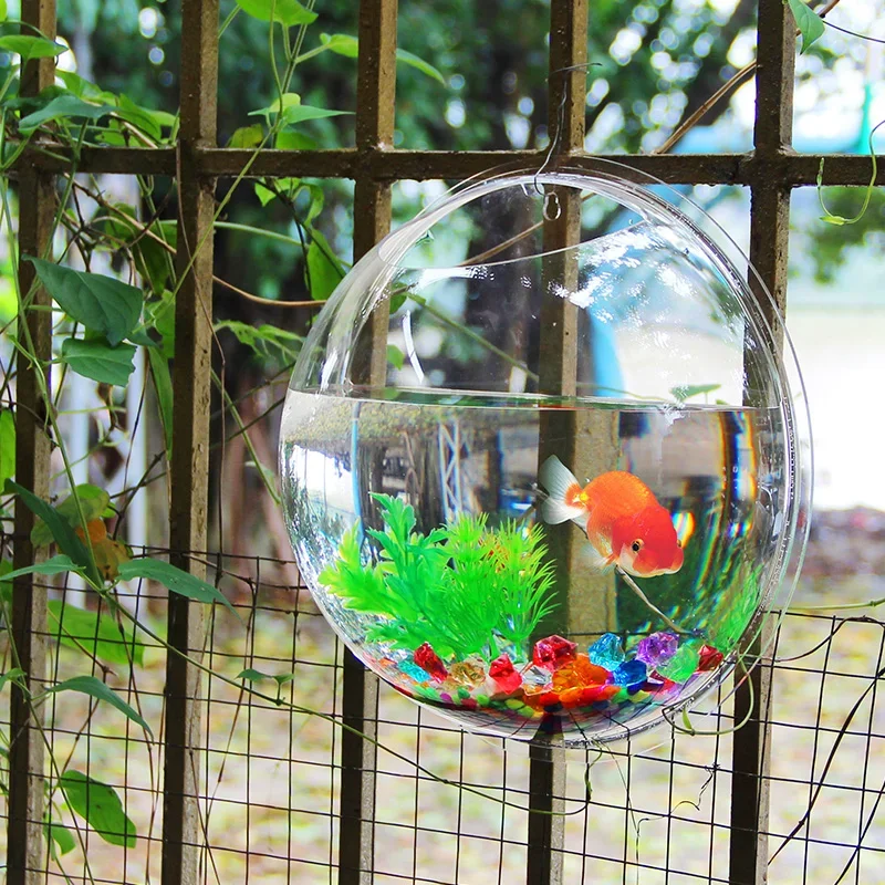 Pinsjar Acrylic Fish Bowl Wall - Betta Fish Tank 评论和价格