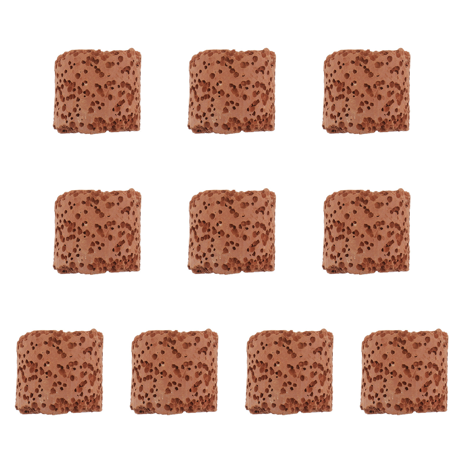 10Pcs Fixed Ring for Aquarium  - Aquarium Plants 评论和价格