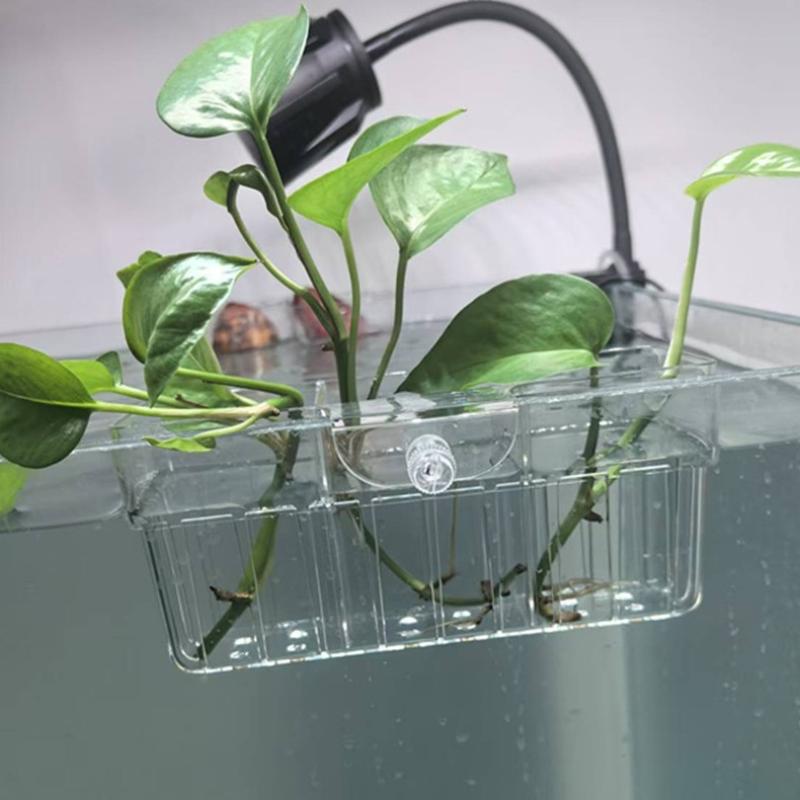 Hydroponic Plant Basket Food G - Aquarium Plants 评论和价格