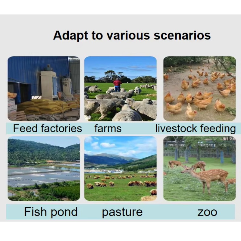 Dog Cat Fish Feed Extruder Fee - Fish Food 评论和价格