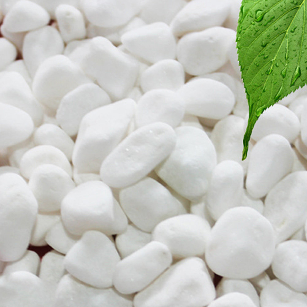1Set White Decorative Stone El - Fish Tank Gravel 评论和价格
