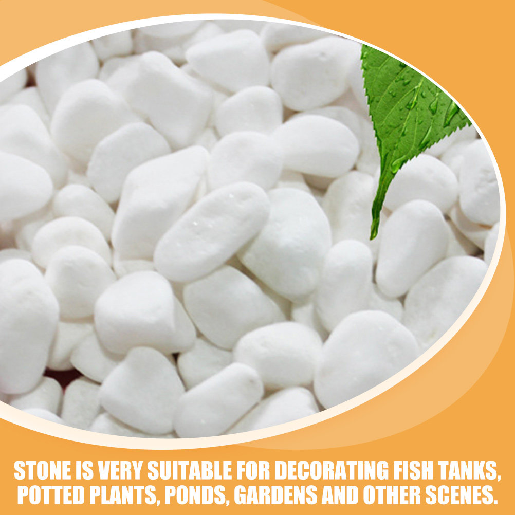 1Set White Decorative Stone El - Fish Tank Gravel 评论和价格