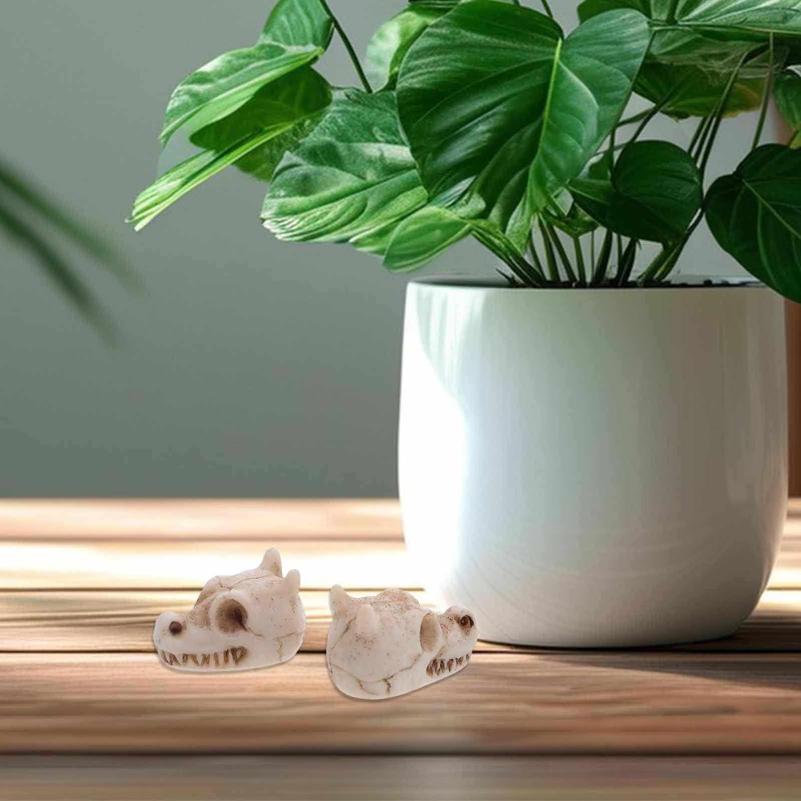 20Pcs Mini Dragon Skull Resin  - Aquarium Decor 评论和价格