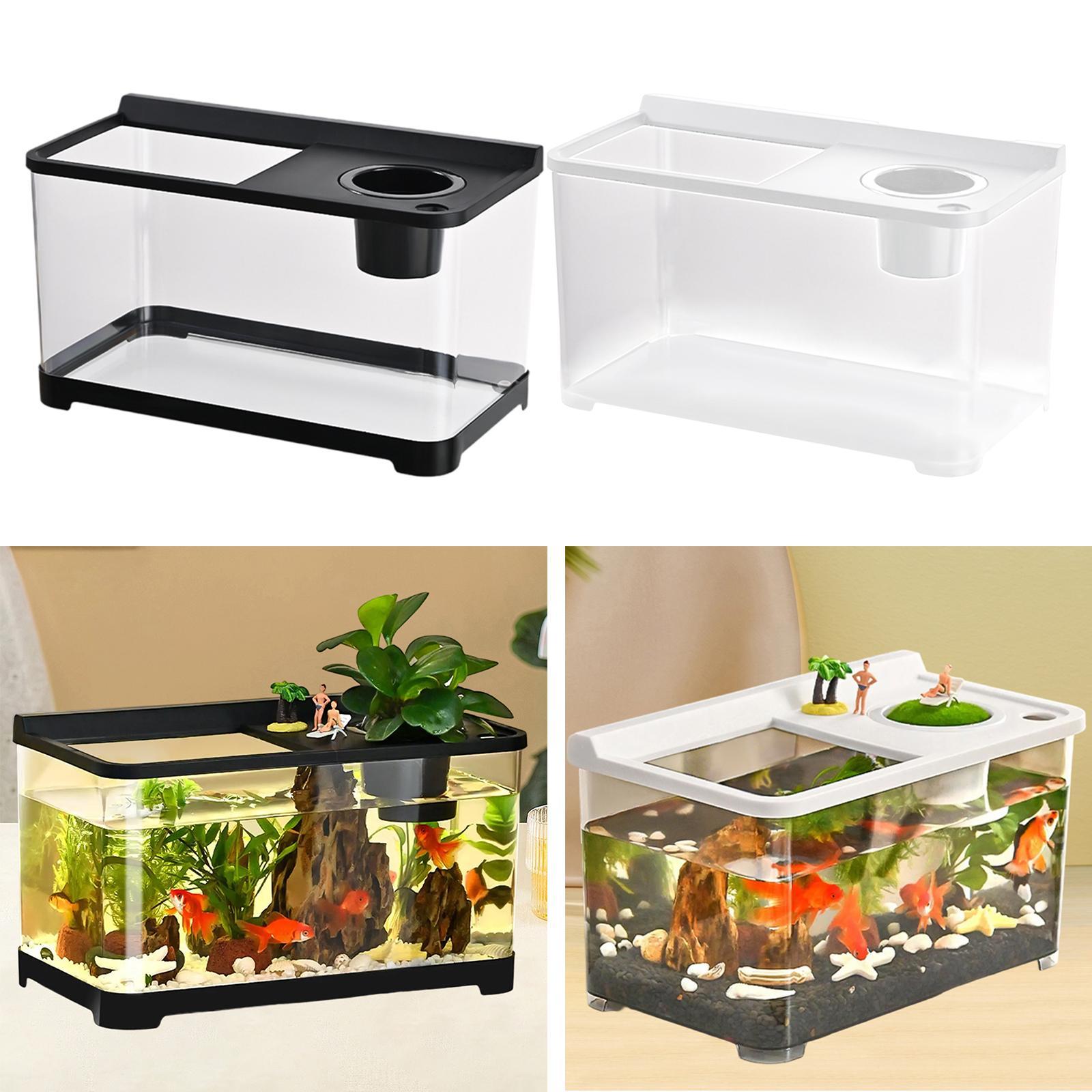 Betta Fish Tank 34x21x20cm Sta - Betta Fish Tank 评论和价格