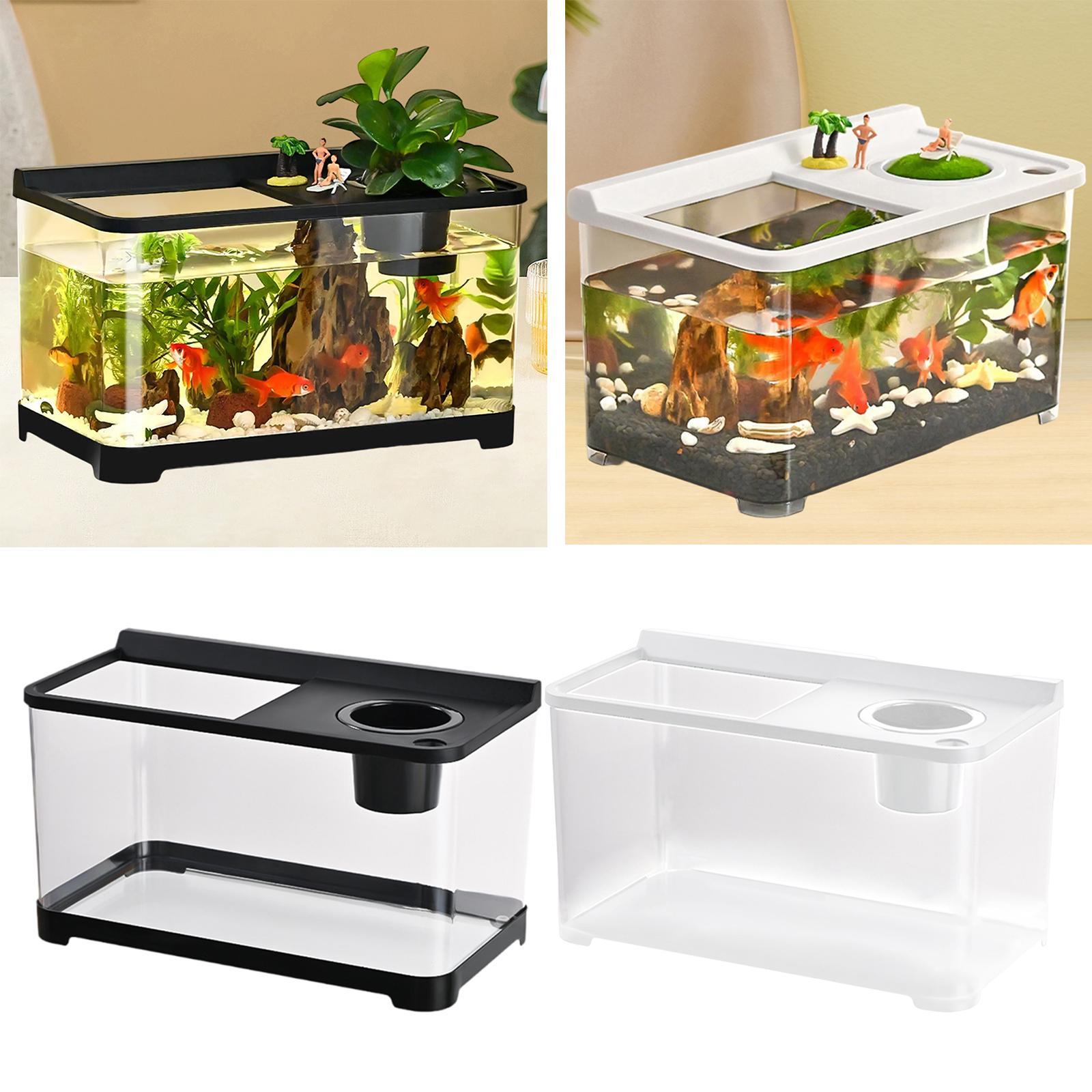 Betta Fish Tank 34x21x20cm Sta - Betta Fish Tank 评论和价格