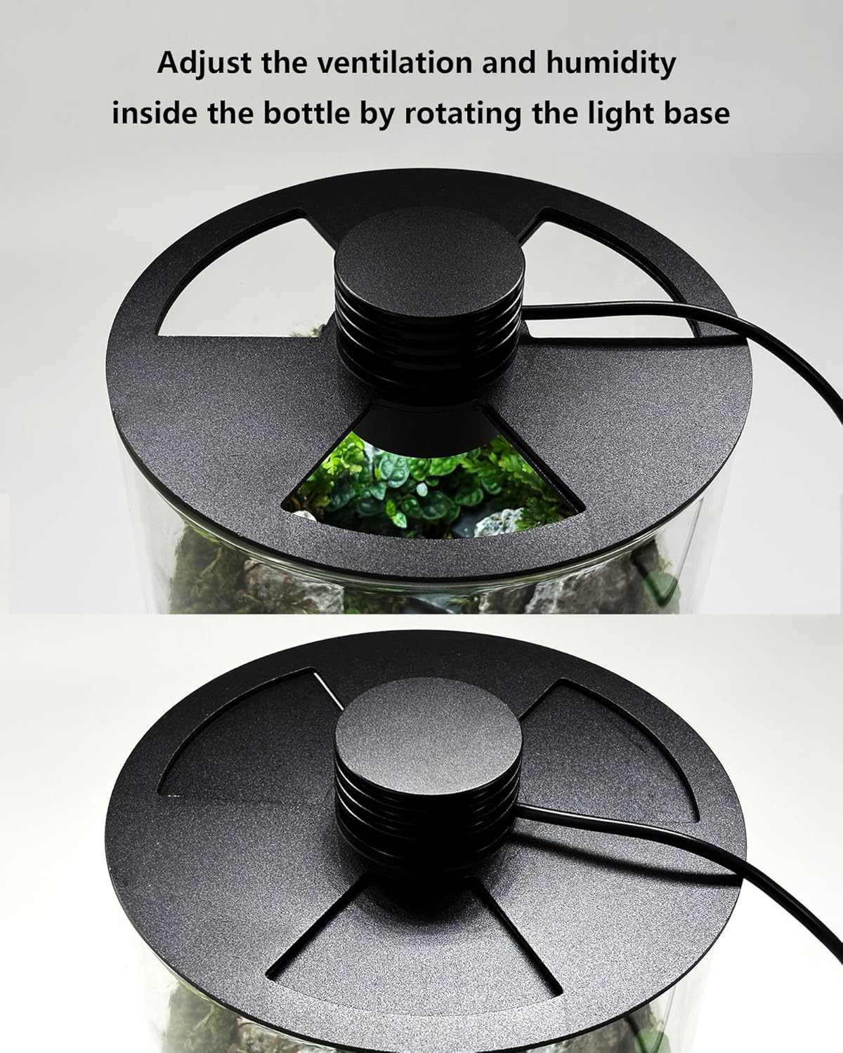 Indoor Glass Terrarium with Gr - Betta Fish Tank 评论和价格