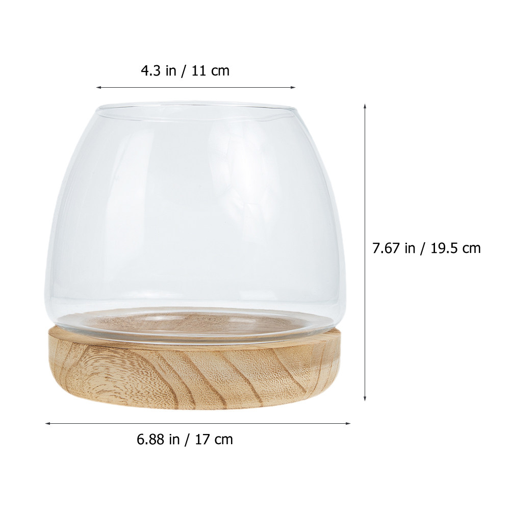 1Set Clear Glass Hydroponic Pl - Aquarium Plants 评论和价格